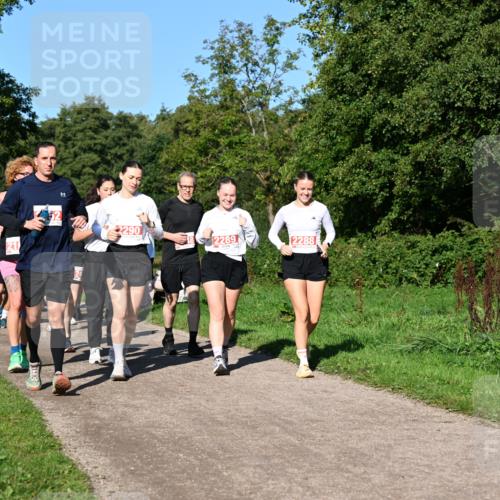 27.09.2026 - 35. Volkslauf durch das schöne Alstertal Dr. Thomas Lammeyer http://msf.ph/oto/10563798 27.09.2026 10:27:58 Laufen 52, 2290, 2289, 2288 meine-sportfotos.de