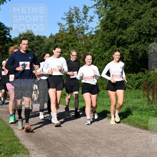 27.09.2026 - 35. Volkslauf durch das schöne Alstertal Dr. Thomas Lammeyer http://msf.ph/oto/10563804 27.09.2026 10:27:59 Laufen 217, 52, 2290, 2288, 2289 meine-sportfotos.de