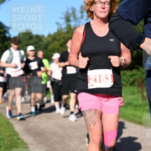 27.09.2026 - 35. Volkslauf durch das schöne Alstertal Dr. Thomas Lammeyer http://msf.ph/oto/10563823 27.09.2026 10:28:02 Laufen 2163 meine-sportfotos.de