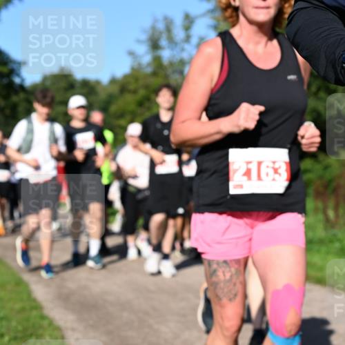 27.09.2026 - 35. Volkslauf durch das schöne Alstertal Dr. Thomas Lammeyer http://msf.ph/oto/10563824 27.09.2026 10:28:02 Laufen 2163 meine-sportfotos.de