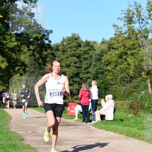 27.09.2026 - 35. Volkslauf durch das schöne Alstertal Dr. Thomas Lammeyer http://msf.ph/oto/10563959 27.09.2026 10:33:50 Laufen 3991 meine-sportfotos.de