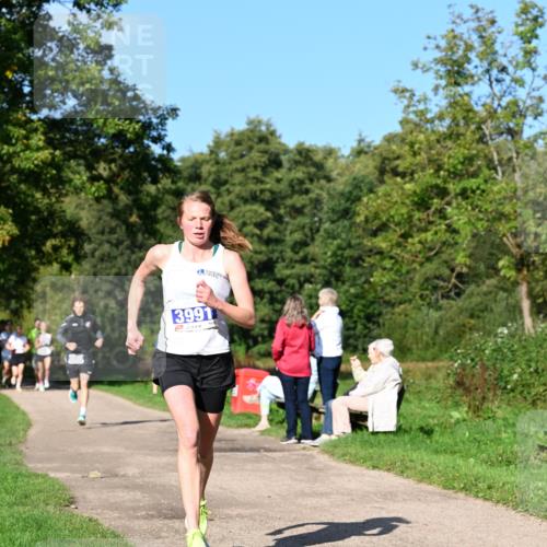 27.09.2026 - 35. Volkslauf durch das schöne Alstertal Dr. Thomas Lammeyer http://msf.ph/oto/10563960 27.09.2026 10:33:51 Laufen 3991 meine-sportfotos.de