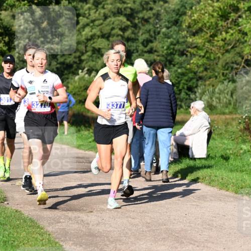 27.09.2026 - 35. Volkslauf durch das schöne Alstertal Dr. Thomas Lammeyer http://msf.ph/oto/10563999 27.09.2026 10:34:00 Laufen 3013, 3270, 3377 meine-sportfotos.de