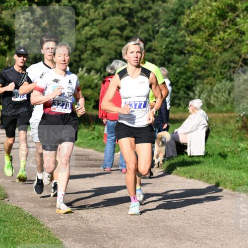 27.09.2026 - 35. Volkslauf durch das schöne Alstertal Dr. Thomas Lammeyer http://msf.ph/oto/10564002 27.09.2026 10:34:01 Laufen 3013, 3270, 2377 meine-sportfotos.de