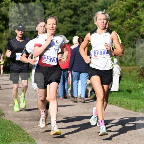 27.09.2026 - 35. Volkslauf durch das schöne Alstertal Dr. Thomas Lammeyer http://msf.ph/oto/10564006 27.09.2026 10:34:01 Laufen 2, 3377, 3270 meine-sportfotos.de