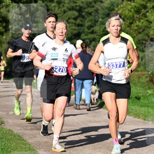 27.09.2026 - 35. Volkslauf durch das schöne Alstertal Dr. Thomas Lammeyer http://msf.ph/oto/10564007 27.09.2026 10:34:02 Laufen 01, 30, 3270, 3377 meine-sportfotos.de