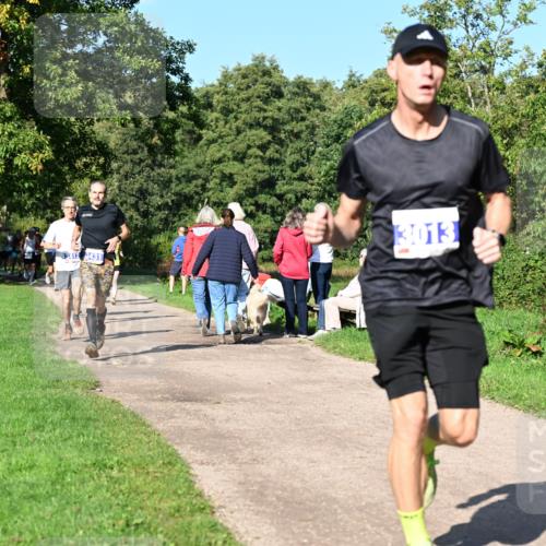 27.09.2026 - 35. Volkslauf durch das schöne Alstertal Dr. Thomas Lammeyer http://msf.ph/oto/10564023 27.09.2026 10:34:04 Laufen 3013, 3412, 3431 meine-sportfotos.de