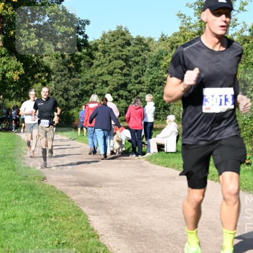 27.09.2026 - 35. Volkslauf durch das schöne Alstertal Dr. Thomas Lammeyer http://msf.ph/oto/10564024 27.09.2026 10:34:04 Laufen 3431, 3013 meine-sportfotos.de