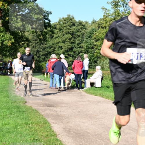27.09.2026 - 35. Volkslauf durch das schöne Alstertal Dr. Thomas Lammeyer http://msf.ph/oto/10564025 27.09.2026 10:34:04 Laufen  meine-sportfotos.de