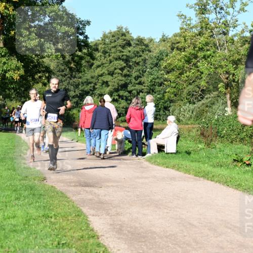 27.09.2026 - 35. Volkslauf durch das schöne Alstertal Dr. Thomas Lammeyer http://msf.ph/oto/10564028 27.09.2026 10:34:05 Laufen 3412, 3431 meine-sportfotos.de