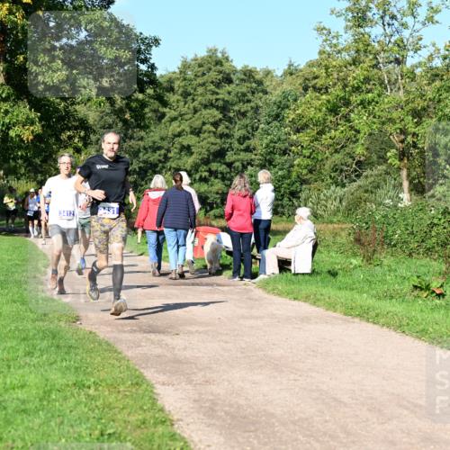 27.09.2026 - 35. Volkslauf durch das schöne Alstertal Dr. Thomas Lammeyer http://msf.ph/oto/10564031 27.09.2026 10:34:05 Laufen  meine-sportfotos.de