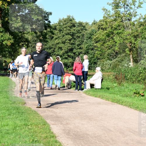 27.09.2026 - 35. Volkslauf durch das schöne Alstertal Dr. Thomas Lammeyer http://msf.ph/oto/10564034 27.09.2026 10:34:05 Laufen  meine-sportfotos.de