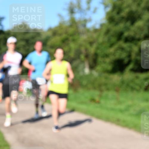 27.09.2026 - 35. Volkslauf durch das schöne Alstertal Dr. Thomas Lammeyer http://msf.ph/oto/10564074 27.09.2026 10:34:12 Laufen  meine-sportfotos.de
