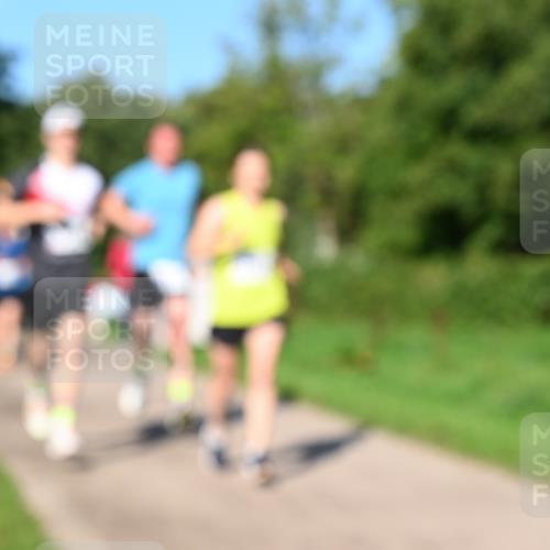 27.09.2026 - 35. Volkslauf durch das schöne Alstertal Dr. Thomas Lammeyer http://msf.ph/oto/10564075 27.09.2026 10:34:12 Laufen  meine-sportfotos.de