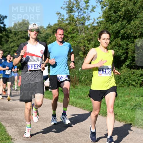 27.09.2026 - 35. Volkslauf durch das schöne Alstertal Dr. Thomas Lammeyer http://msf.ph/oto/10564078 27.09.2026 10:34:13 Laufen 3342, 3120, 3186 meine-sportfotos.de