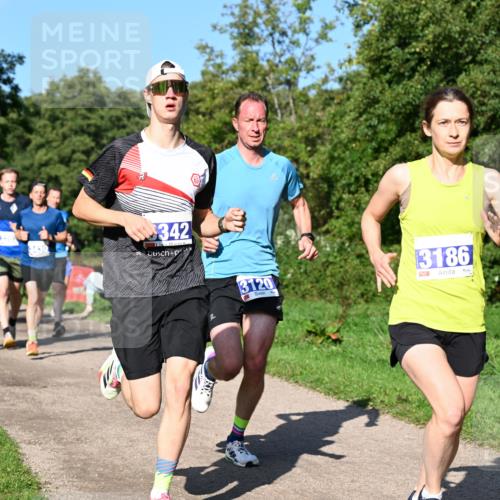 27.09.2026 - 35. Volkslauf durch das schöne Alstertal Dr. Thomas Lammeyer http://msf.ph/oto/10564080 27.09.2026 10:34:13 Laufen 342, 3120, 3186 meine-sportfotos.de