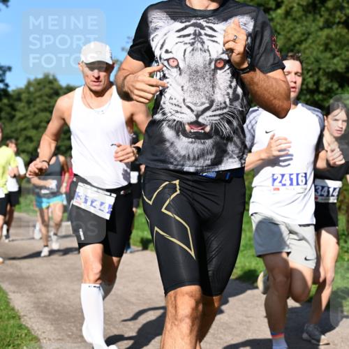 27.09.2026 - 35. Volkslauf durch das schöne Alstertal Dr. Thomas Lammeyer http://msf.ph/oto/10564116 27.09.2026 10:34:19 Laufen 3144, 2416, 7, 3414 meine-sportfotos.de