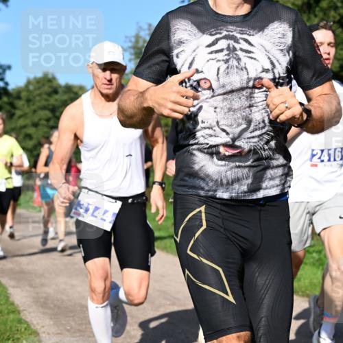 27.09.2026 - 35. Volkslauf durch das schöne Alstertal Dr. Thomas Lammeyer http://msf.ph/oto/10564117 27.09.2026 10:34:19 Laufen 3144, 2416, 414 meine-sportfotos.de