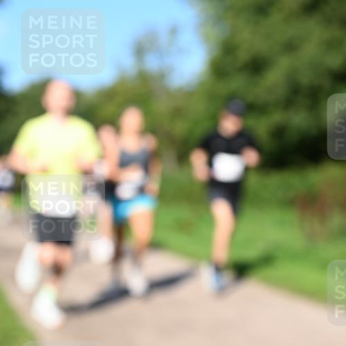 27.09.2026 - 35. Volkslauf durch das schöne Alstertal Dr. Thomas Lammeyer http://msf.ph/oto/10564126 27.09.2026 10:34:20 Laufen  meine-sportfotos.de