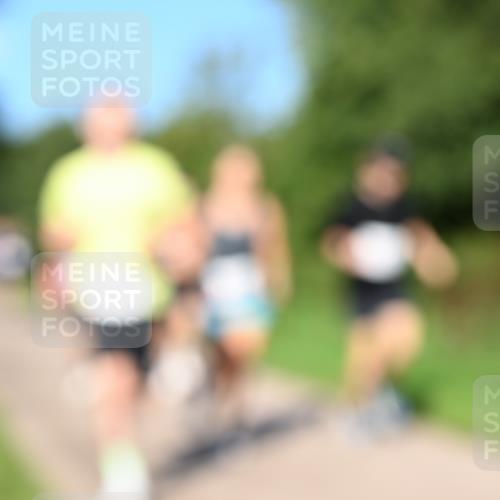 27.09.2026 - 35. Volkslauf durch das schöne Alstertal Dr. Thomas Lammeyer http://msf.ph/oto/10564128 27.09.2026 10:34:20 Laufen  meine-sportfotos.de