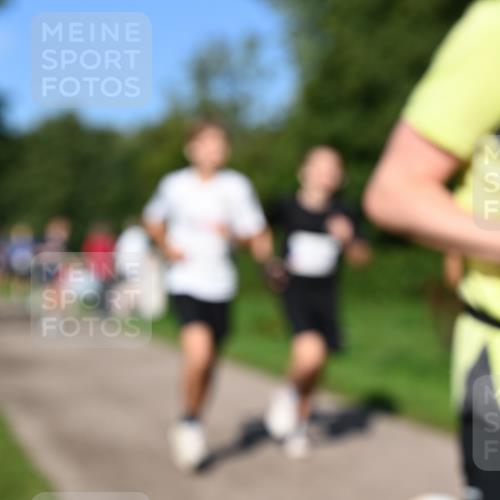 27.09.2026 - 35. Volkslauf durch das schöne Alstertal Dr. Thomas Lammeyer http://msf.ph/oto/10564136 27.09.2026 10:34:21 Laufen  meine-sportfotos.de