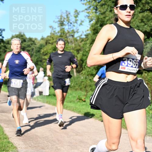 27.09.2026 - 35. Volkslauf durch das schöne Alstertal Dr. Thomas Lammeyer http://msf.ph/oto/10564170 27.09.2026 10:34:26 Laufen 3965 meine-sportfotos.de