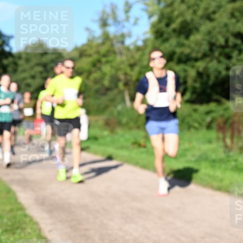 27.09.2026 - 35. Volkslauf durch das schöne Alstertal Dr. Thomas Lammeyer http://msf.ph/oto/10564262 27.09.2026 10:34:48 Laufen  meine-sportfotos.de