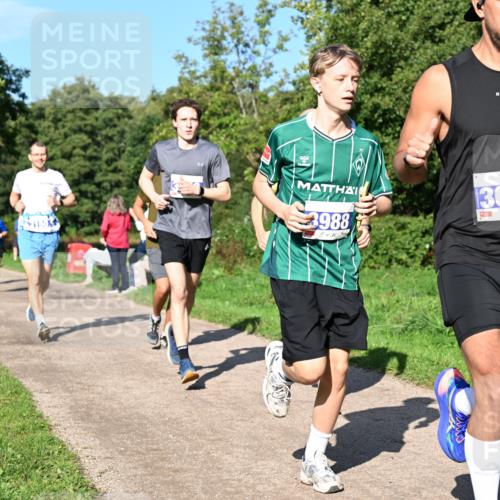 27.09.2026 - 35. Volkslauf durch das schöne Alstertal Dr. Thomas Lammeyer http://msf.ph/oto/10564278 27.09.2026 10:34:50 Laufen 3988, 3022 meine-sportfotos.de