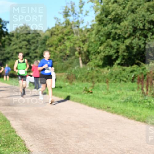 27.09.2026 - 35. Volkslauf durch das schöne Alstertal Dr. Thomas Lammeyer http://msf.ph/oto/10564302 27.09.2026 10:34:54 Laufen  meine-sportfotos.de