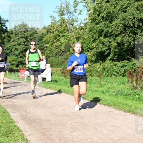 27.09.2026 - 35. Volkslauf durch das schöne Alstertal Dr. Thomas Lammeyer http://msf.ph/oto/10564309 27.09.2026 10:34:55 Laufen 3167, 3380, 3315 meine-sportfotos.de
