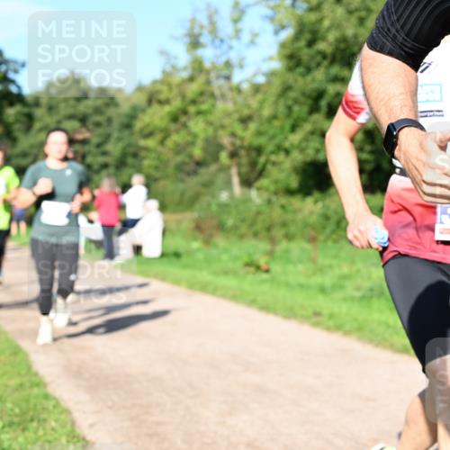 27.09.2026 - 35. Volkslauf durch das schöne Alstertal Dr. Thomas Lammeyer http://msf.ph/oto/10564355 27.09.2026 10:35:02 Laufen  meine-sportfotos.de