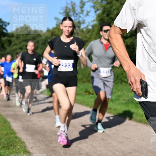 27.09.2026 - 35. Volkslauf durch das schöne Alstertal Dr. Thomas Lammeyer http://msf.ph/oto/10564401 27.09.2026 10:35:09 Laufen 3340 meine-sportfotos.de
