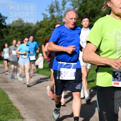 27.09.2026 - 35. Volkslauf durch das schöne Alstertal Dr. Thomas Lammeyer http://msf.ph/oto/10564420 27.09.2026 10:35:13 Laufen  meine-sportfotos.de