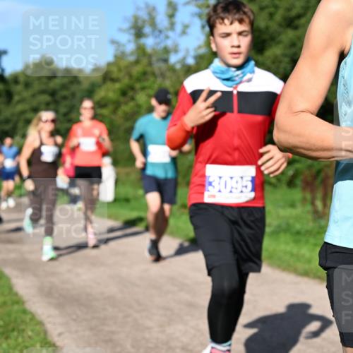 27.09.2026 - 35. Volkslauf durch das schöne Alstertal Dr. Thomas Lammeyer http://msf.ph/oto/10564448 27.09.2026 10:35:18 Laufen 3095 meine-sportfotos.de