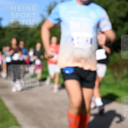 27.09.2026 - 35. Volkslauf durch das schöne Alstertal Dr. Thomas Lammeyer http://msf.ph/oto/10564502 27.09.2026 10:35:26 Laufen  meine-sportfotos.de