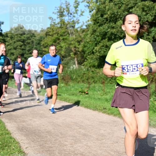 27.09.2026 - 35. Volkslauf durch das schöne Alstertal Dr. Thomas Lammeyer http://msf.ph/oto/10564587 27.09.2026 10:35:39 Laufen  meine-sportfotos.de