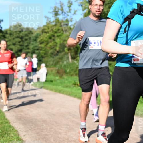 27.09.2026 - 35. Volkslauf durch das schöne Alstertal Dr. Thomas Lammeyer http://msf.ph/oto/10564613 27.09.2026 10:35:42 Laufen 331 meine-sportfotos.de