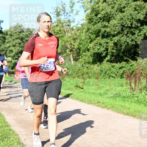 27.09.2026 - 35. Volkslauf durch das schöne Alstertal Dr. Thomas Lammeyer http://msf.ph/oto/10564624 27.09.2026 10:35:44 Laufen 3250 meine-sportfotos.de