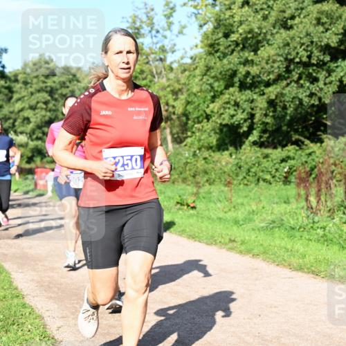 27.09.2026 - 35. Volkslauf durch das schöne Alstertal Dr. Thomas Lammeyer http://msf.ph/oto/10564625 27.09.2026 10:35:44 Laufen 250 meine-sportfotos.de