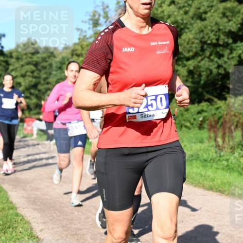 27.09.2026 - 35. Volkslauf durch das schöne Alstertal Dr. Thomas Lammeyer http://msf.ph/oto/10564629 27.09.2026 10:35:45 Laufen 250 meine-sportfotos.de