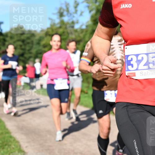 27.09.2026 - 35. Volkslauf durch das schöne Alstertal Dr. Thomas Lammeyer http://msf.ph/oto/10564632 27.09.2026 10:35:45 Laufen 3250 meine-sportfotos.de