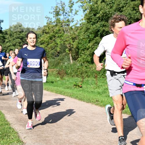 27.09.2026 - 35. Volkslauf durch das schöne Alstertal Dr. Thomas Lammeyer http://msf.ph/oto/10564640 27.09.2026 10:35:46 Laufen 3214, 3990, 3020 meine-sportfotos.de