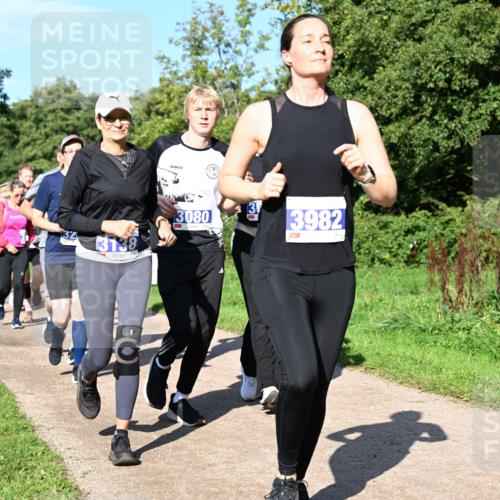 27.09.2026 - 35. Volkslauf durch das schöne Alstertal Dr. Thomas Lammeyer http://msf.ph/oto/10564814 27.09.2026 10:36:12 Laufen 3138, 3, 3080, 3982 meine-sportfotos.de