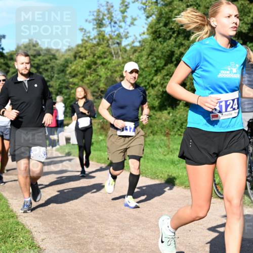 27.09.2026 - 35. Volkslauf durch das schöne Alstertal Dr. Thomas Lammeyer http://msf.ph/oto/10564850 27.09.2026 10:36:17 Laufen 3124 meine-sportfotos.de