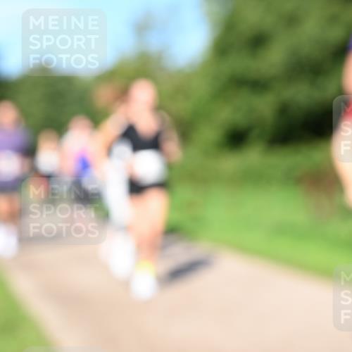 27.09.2026 - 35. Volkslauf durch das schöne Alstertal Dr. Thomas Lammeyer http://msf.ph/oto/10564880 27.09.2026 10:36:22 Laufen  meine-sportfotos.de