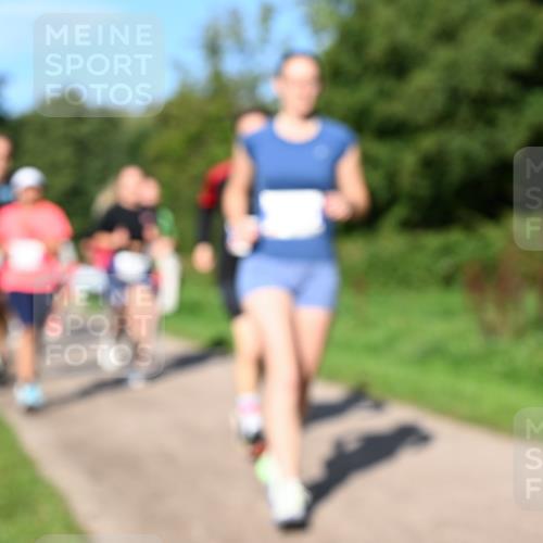 27.09.2026 - 35. Volkslauf durch das schöne Alstertal Dr. Thomas Lammeyer http://msf.ph/oto/10564952 27.09.2026 10:36:32 Laufen  meine-sportfotos.de