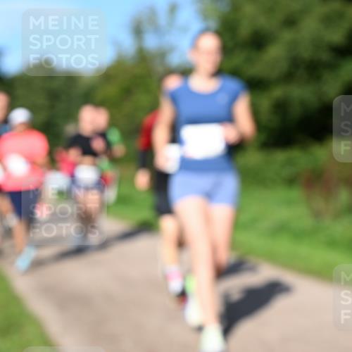 27.09.2026 - 35. Volkslauf durch das schöne Alstertal Dr. Thomas Lammeyer http://msf.ph/oto/10564953 27.09.2026 10:36:32 Laufen  meine-sportfotos.de
