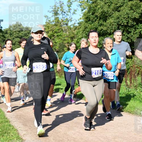 27.09.2026 - 35. Volkslauf durch das schöne Alstertal Dr. Thomas Lammeyer http://msf.ph/oto/10565014 27.09.2026 10:36:41 Laufen 28, 3256, 3236, 3392, 34164, 2101, 3999, 3279 meine-sportfotos.de
