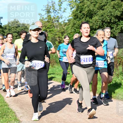 27.09.2026 - 35. Volkslauf durch das schöne Alstertal Dr. Thomas Lammeyer http://msf.ph/oto/10565015 27.09.2026 10:36:42 Laufen 83256, 3392, 3416, 2101, 3999, 3279 meine-sportfotos.de
