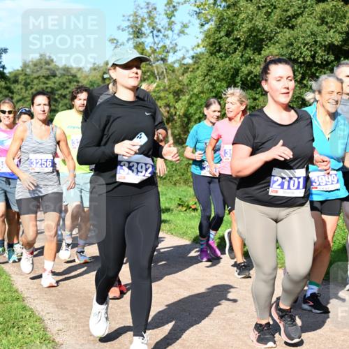 27.09.2026 - 35. Volkslauf durch das schöne Alstertal Dr. Thomas Lammeyer http://msf.ph/oto/10565017 27.09.2026 10:36:42 Laufen 3256, 13, 3392, 2101, 3999 meine-sportfotos.de